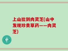 上山捡到肉灵芝(山中发现珍贵草药——肉灵芝)