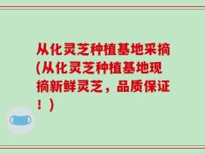 从化灵芝种植基地采摘(从化灵芝种植基地现摘新鲜灵芝，品质保证！)
