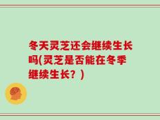 冬天灵芝还会继续生长吗(灵芝是否能在冬季继续生长？)