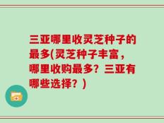 三亚哪里收灵芝种子的最多(灵芝种子丰富，哪里收购最多？三亚有哪些选择？)