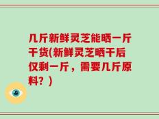 几斤新鲜灵芝能晒一斤干货(新鲜灵芝晒干后仅剩一斤，需要几斤原料？)