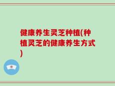健康养生灵芝种植(种植灵芝的健康养生方式)