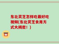 东北灵芝怎样吃最好吃视频(东北灵芝食用方式大揭密！)