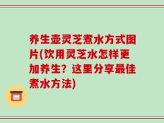 养生壶灵芝煮水方式图片(饮用灵芝水怎样更加养生？这里分享最佳煮水方法)