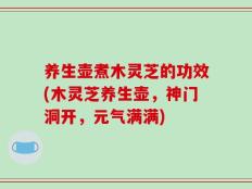养生壶煮木灵芝的功效(木灵芝养生壶，神门洞开，元气满满)