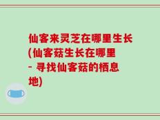 仙客来灵芝在哪里生长(仙客菇生长在哪里 - 寻找仙客菇的栖息地)
