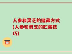 人参和灵芝的储藏方式(人参和灵芝的贮藏技巧)