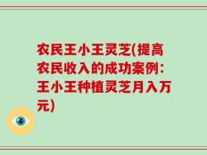 农民王小王灵芝(提高农民收入的成功案例：王小王种植灵芝月入万元)