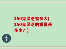 250克灵芝有多大(250克灵芝的重量是多少？)