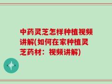 中药灵芝怎样种植视频讲解(如何在家种植灵芝药材：视频讲解)