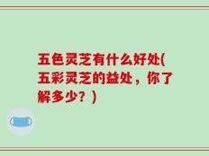 五色灵芝有什么好处(五彩灵芝的益处，你了解多少？)