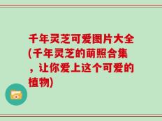 千年灵芝可爱图片大全(千年灵芝的萌照合集，让你爱上这个可爱的植物)