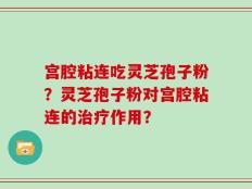 宫腔粘连吃灵芝孢子粉？灵芝孢子粉对宫腔粘连的治疗作用？