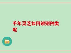 千年灵芝如何辨别种类呢