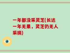 一年都没采灵芝(长达一年无果，灵芝仍无人采摘)
