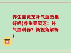 养生壶灵芝补气血效果好吗(养生壶灵芝：补气血利器？新视角解析)