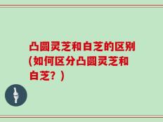 凸圆灵芝和白芝的区别(如何区分凸圆灵芝和白芝？)