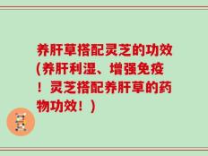 养肝草搭配灵芝的功效(养肝利湿、增强免疫！灵芝搭配养肝草的药物功效！)