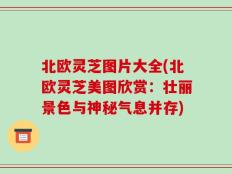 北欧灵芝图片大全(北欧灵芝美图欣赏：壮丽景色与神秘气息并存)