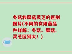 冬菇和蘑菇灵芝的区别图片(不同的食用菌品种详解：冬菇、蘑菇、灵芝区别大！)