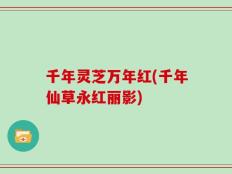 千年灵芝万年红(千年仙草永红丽影)