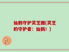 仙鹤守护灵芝图(灵芝的守护者：仙鹤！)
