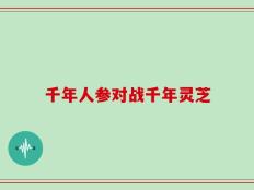 千年人参对战千年灵芝