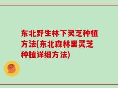 东北野生林下灵芝种植方法(东北森林里灵芝种植详细方法)