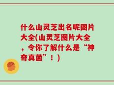 什么山灵芝出名呢图片大全(山灵芝图片大全，令你了解什么是“神奇真菌”！)