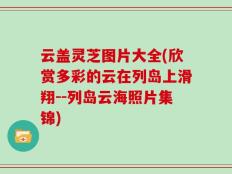 云盖灵芝图片大全(欣赏多彩的云在列岛上滑翔--列岛云海照片集锦)