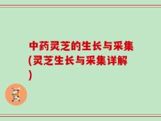 中药灵芝的生长与采集(灵芝生长与采集详解)