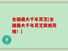 全国最大千年灵芝(全国最大千年灵芝震撼亮相！)