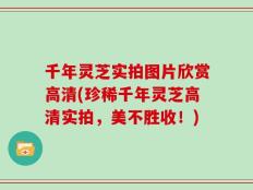 千年灵芝实拍图片欣赏高清(珍稀千年灵芝高清实拍，美不胜收！)