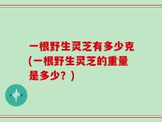 一根野生灵芝有多少克(一根野生灵芝的重量是多少？)