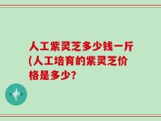 人工紫灵芝多少钱一斤(人工培育的紫灵芝价格是多少？