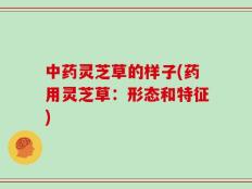 中药灵芝草的样子(药用灵芝草：形态和特征)