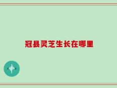 冠县灵芝生长在哪里
