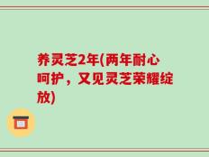 养灵芝2年(两年耐心呵护，又见灵芝荣耀绽放)