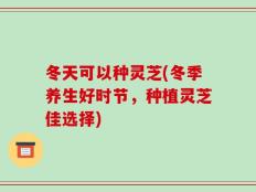冬天可以种灵芝(冬季养生好时节，种植灵芝佳选择)