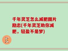千年灵芝怎么减肥图片励志(千年灵芝助你减肥，轻盈不是梦)