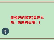 卖相好的灵芝(灵芝大热！快来购买吧！)