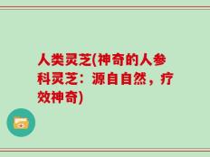 人类灵芝(神奇的人参科灵芝：源自自然，疗效神奇)