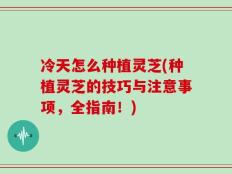冷天怎么种植灵芝(种植灵芝的技巧与注意事项，全指南！)