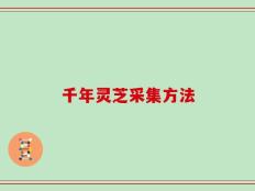 千年灵芝采集方法