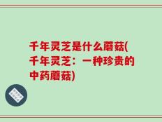 千年灵芝是什么蘑菇(千年灵芝：一种珍贵的中药蘑菇)