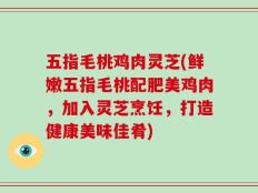 五指毛桃鸡肉灵芝(鲜嫩五指毛桃配肥美鸡肉，加入灵芝烹饪，打造健康美味佳肴)