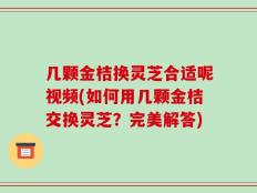 几颗金桔换灵芝合适呢视频(如何用几颗金桔交换灵芝？完美解答)