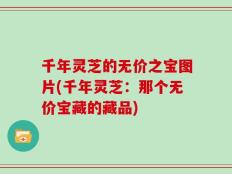 千年灵芝的无价之宝图片(千年灵芝：那个无价宝藏的藏品)