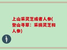 上山采灵芝或者人参(登山寻草：采摘灵芝和人参)