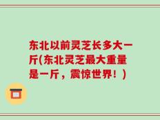 东北以前灵芝长多大一斤(东北灵芝最大重量是一斤，震惊世界！)
